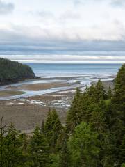 Parco nazionale di Fundy