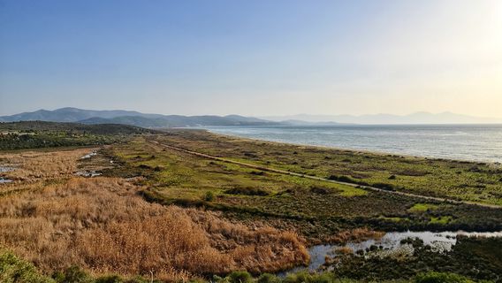 Selçuk