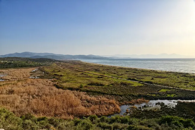 Разрешено размещения с домашними животными Отели в г. Шанлыурфа