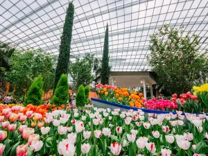 新加坡熱門賞花踏青景點