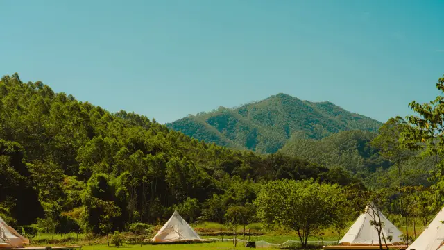 Camping in Longmen