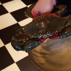 Crab Kitchen User Photo