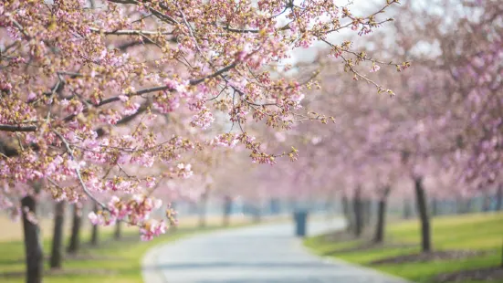 상하이 천산 식물원(상해 진산식물원)