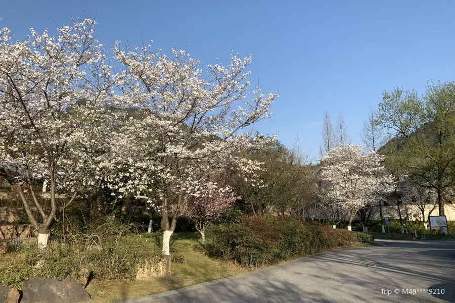 Wanwei Mountain