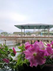 Guangdong Yangchun Fugang Meiyun Shan Lvhu Resort
