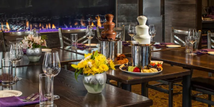 The Chocolate Sanctuary