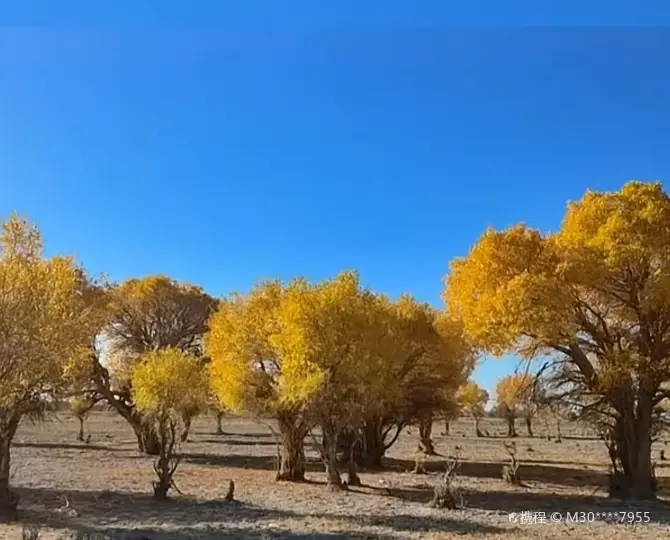 Черчен