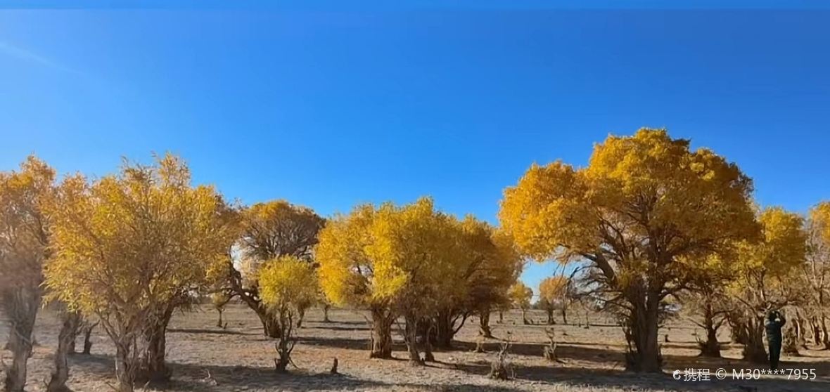 Things to Do in Qiemo in 2025 Top Attractions, Local Food, Hotels