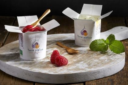 Basilic & Co Suresnes