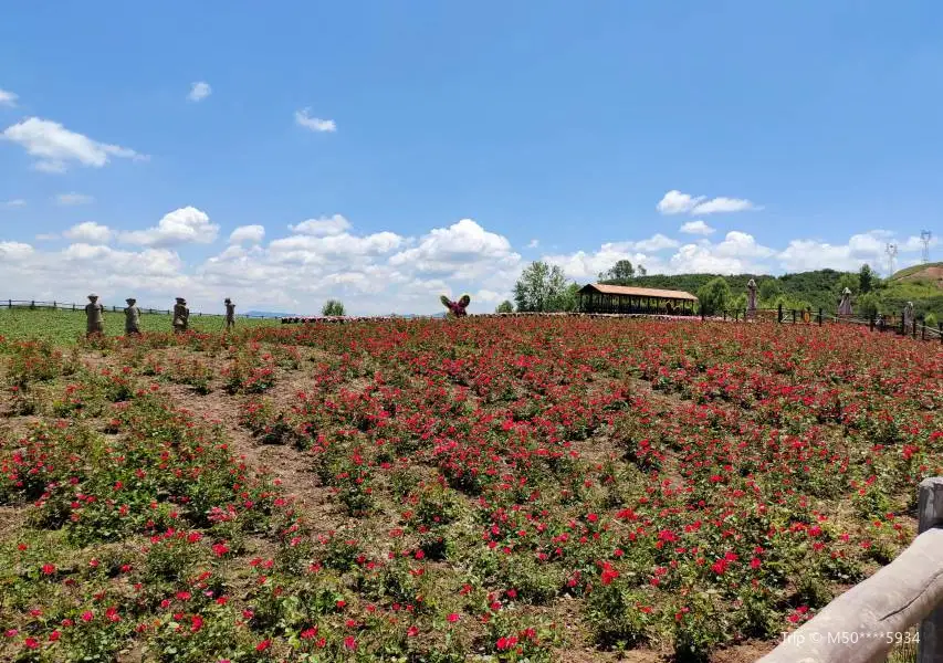 Youzui Bay Flower Sea