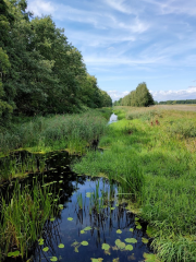 Przemkowski Park Krajobrazowy