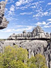 Nationalpark Tsingy de Bemaraha