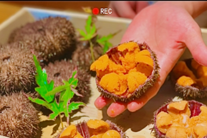 鹤松·高空の上居酒屋(深圳湾店)