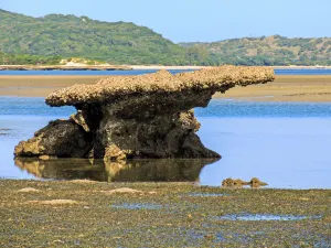 Baia di Maputo