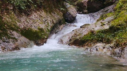 Shennongxia Yanwugou Sceneic Area