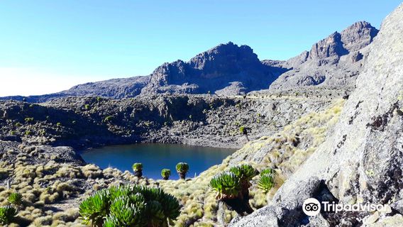 Mount Kenya