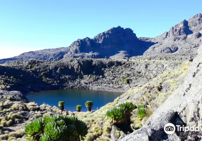 Mount Kenya
