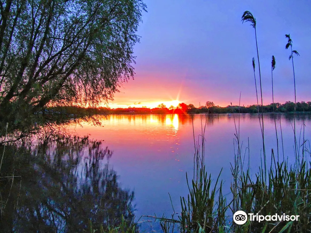 4_Priory Country Park