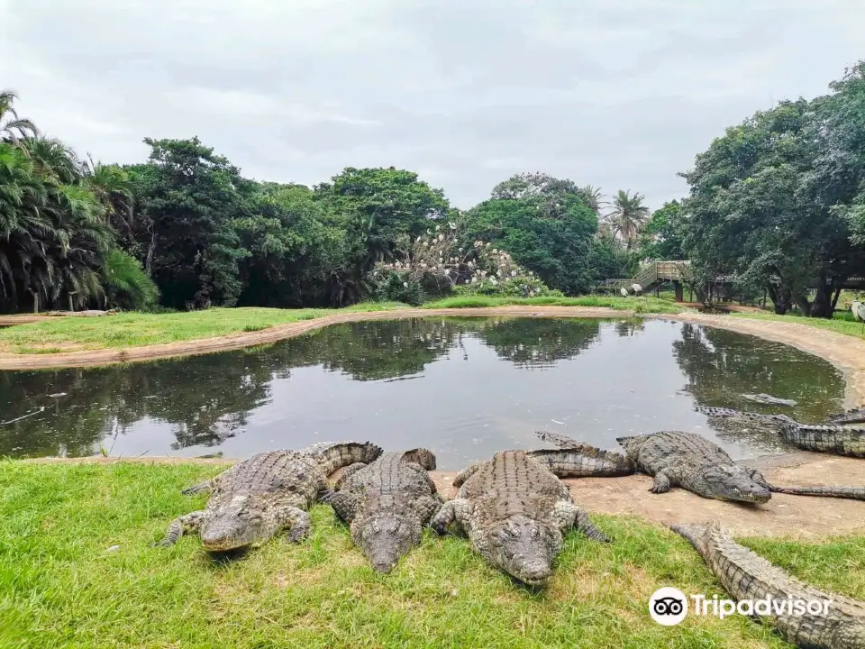 2_Crocworld