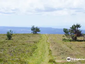 Livradois-Forez Regional Nature Park