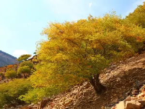 Ning Xia Helan Mountain National Forest Park
