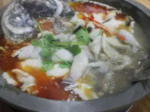 JIANG CHUAN SHENG TAI DAN GUO YU