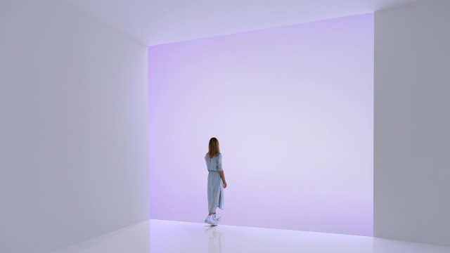 【美國紐約】《道格·惠勒：白天 黑夜》展覽 | David Zwirner