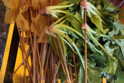 JI MO DE CHUAN CHUAN