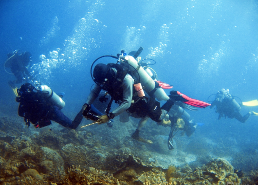 Semporna Blue Reef