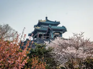 Congtai Park