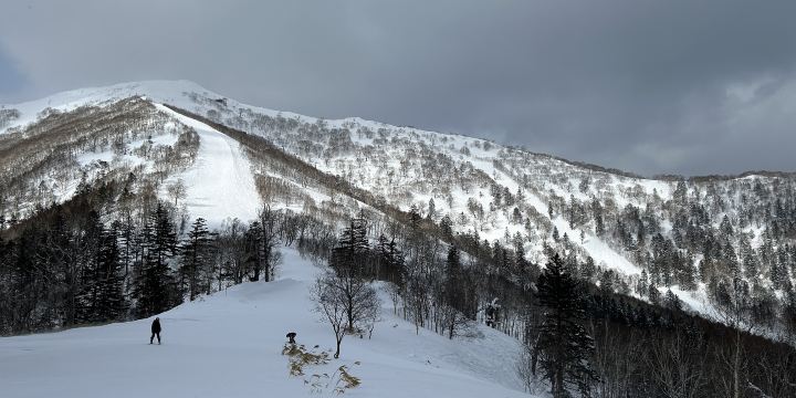 Hoshino Resorts TOMAMU ski area