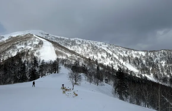 星野TOMAMU度假村滑雪場滑雪纜車門票 + 滑雪教練團體課程團體（3至4人）