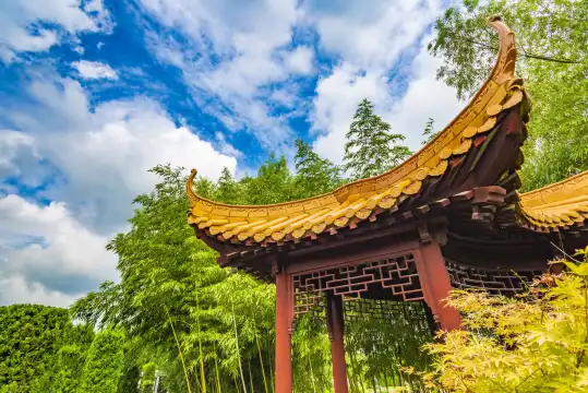 Hotels near Renwenjinian Museum