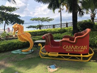 Camayan Beach 
