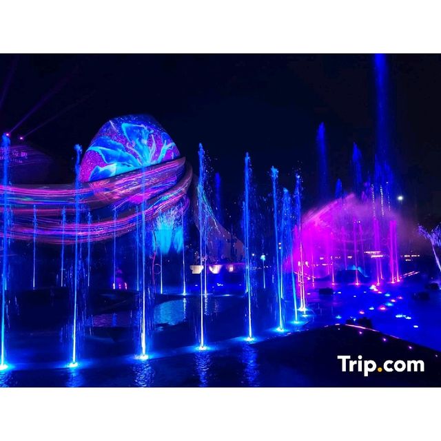 海洋公園～光影都會