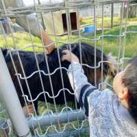 大阪親子遊 必去動物園 