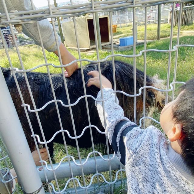大阪親子遊 必去動物園 