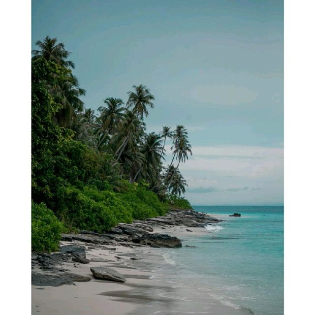 Bogi Island
