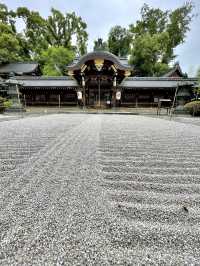 新緑の今宮神社で森林浴