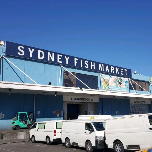 Sydney fish market美食打卡hkfoodies