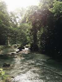 Nature never goes out of style