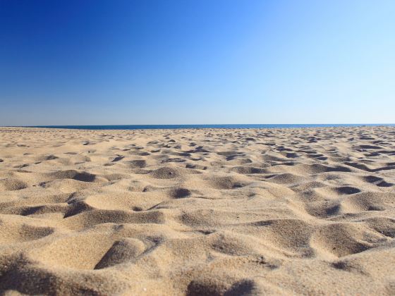 Haijiaocheng Baihaitun Langman Beach