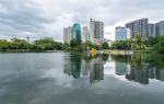Lychee Park