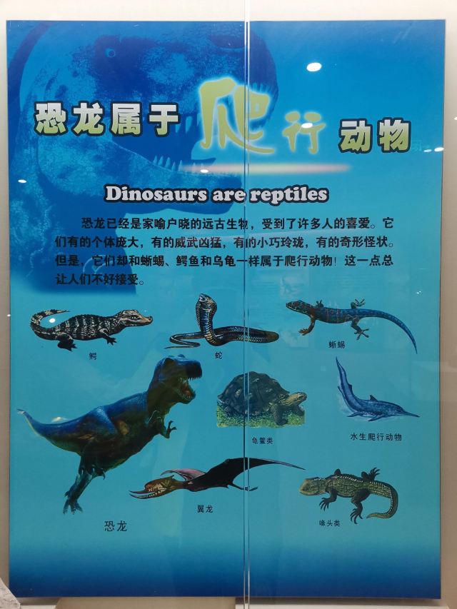 Heyuan City Museum (Heyuan Dinosaur Museum)