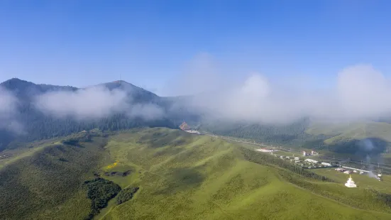 當週草原風景區