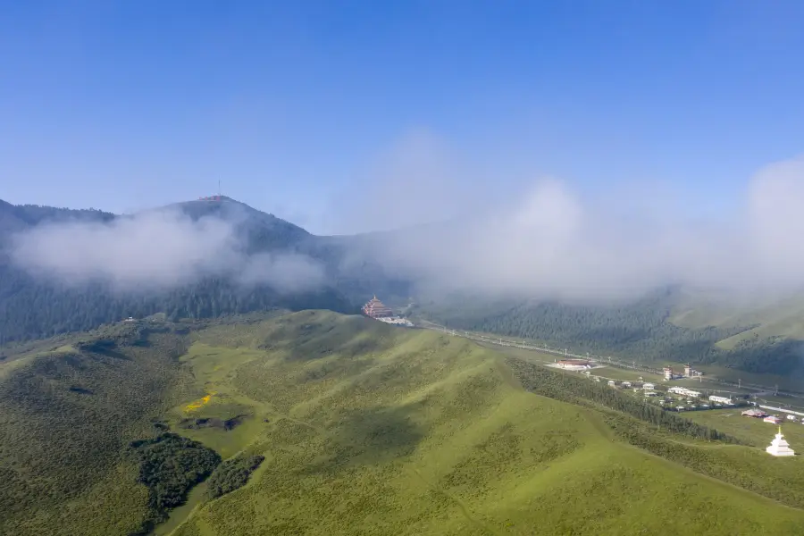 Dangzhou Grassland