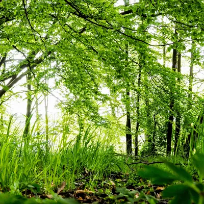 Виллы в г. Басселтон