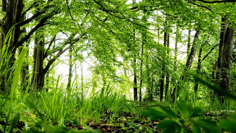 Романтическое путешествие Отели в г. Перт