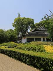 Южно-Лук Айчуньский сад