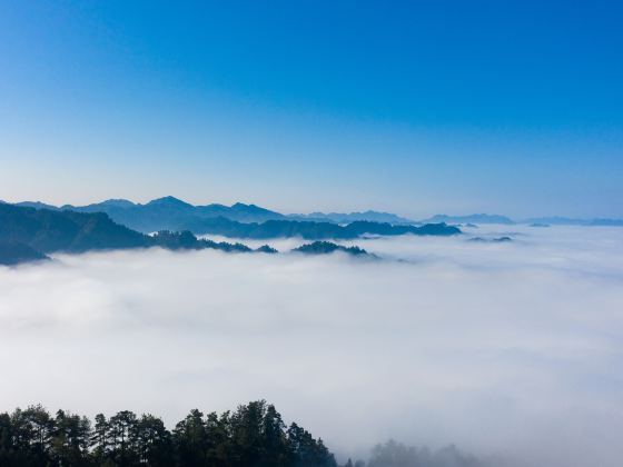 포터우산 삼림 공원